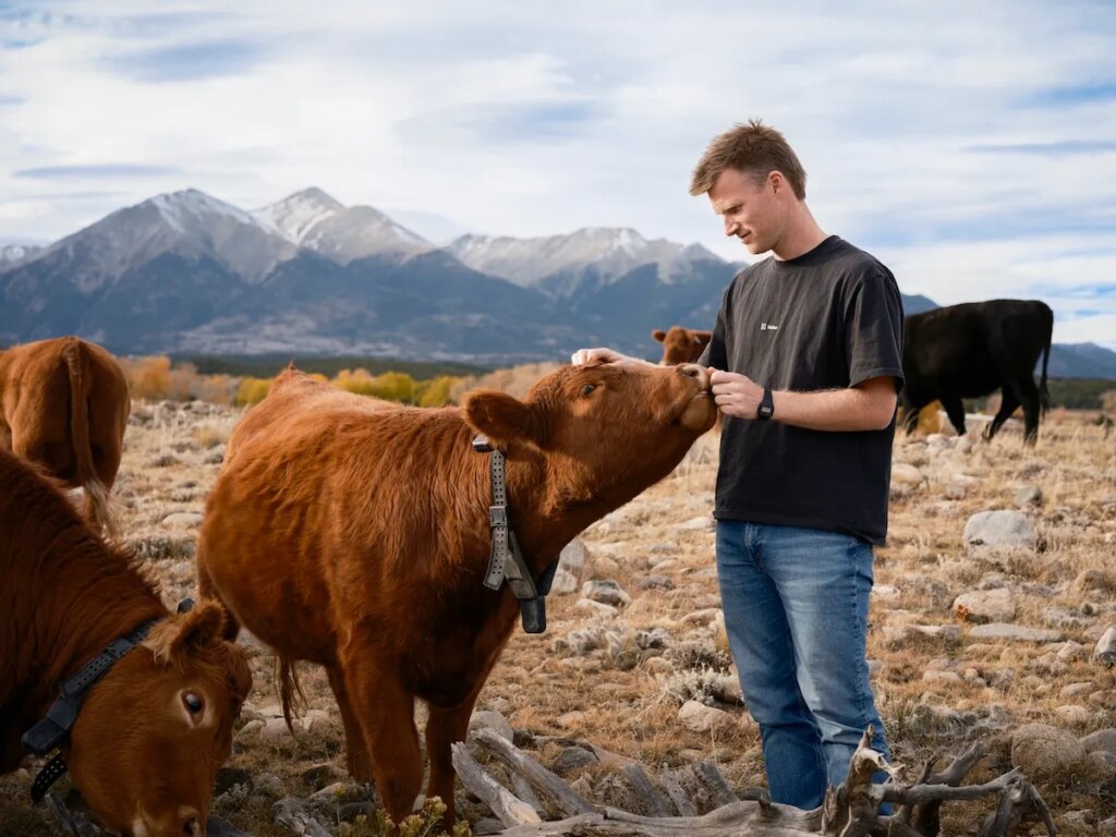 Craig-Piggott_Halter-CEO.jpg